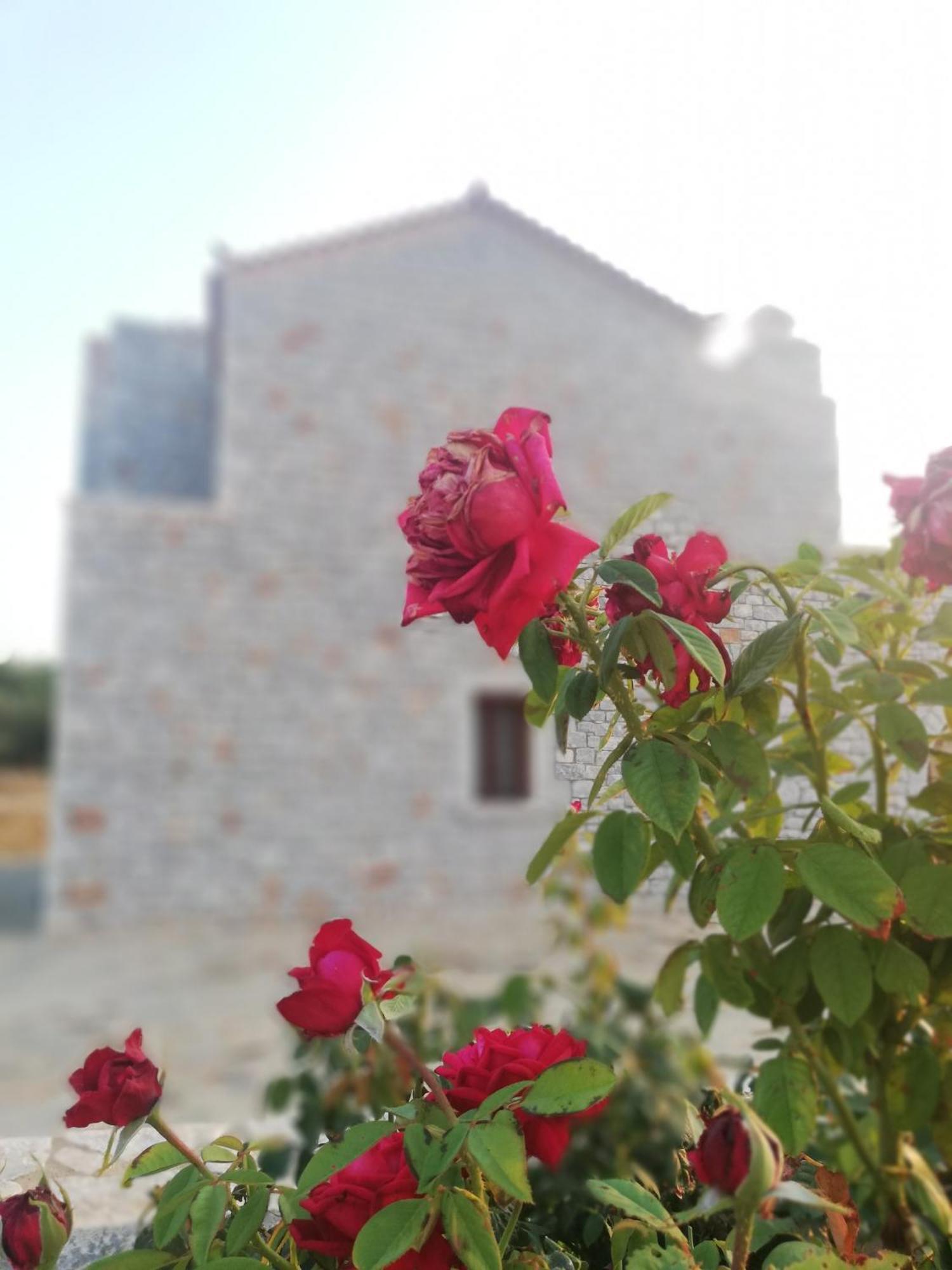 Athevillas Antonis Mina Exterior photo